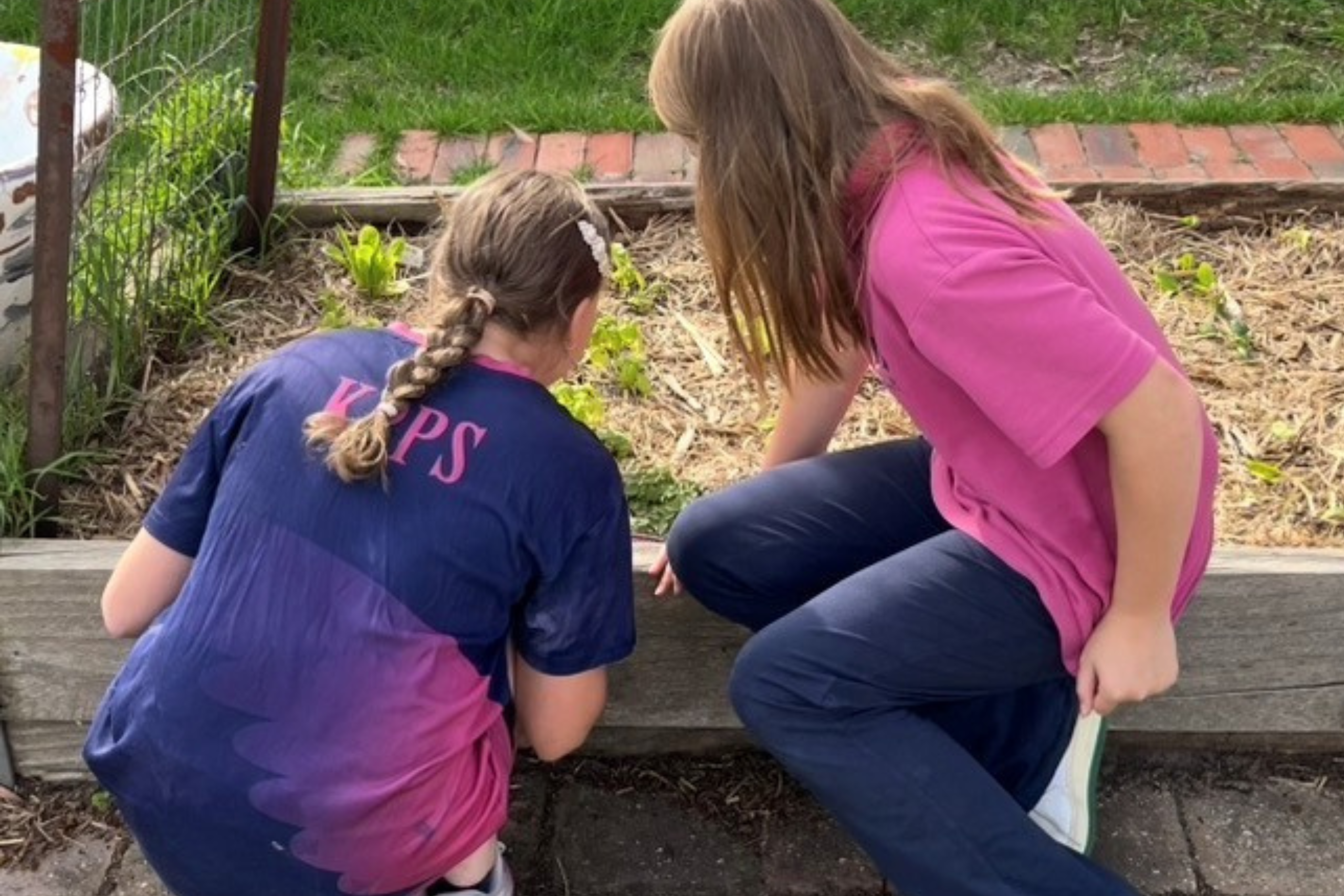 Veggie Garden Glow Up at Kingsley Park Primary School